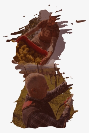 Home Of Great Wines - Lepa Vida Winery #2623915