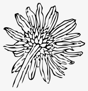 A Sunflower Come Back - Sunflower Clip Art #2623976