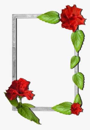 Flower Photo Frame Design Png #2624487