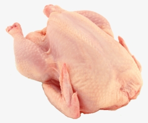 Chicken Mea - Chicken #2624718