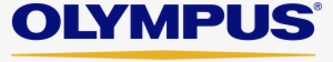 Footer Logo Footer Logo Footer Logo Footer Logo - Olympus Png #2625181