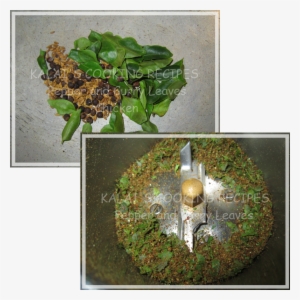 Curry Leaves Png #2625591