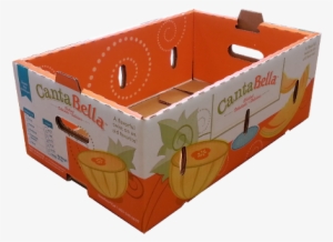 Packaging Design - Carton Box Fruit #2625690