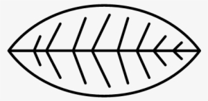 Leaf Of A Bush Vector - Objetos En Forma Cilindrica Para Colorear #2625698