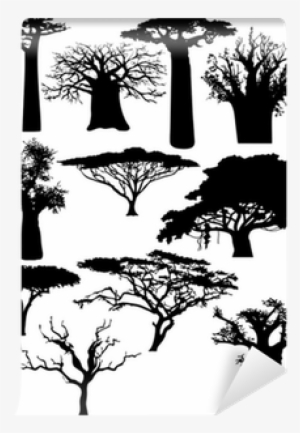Various African Trees And Bushes - African Trees #2625747