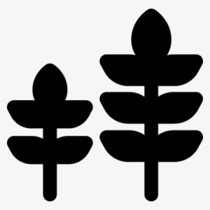 Plants Vector - Icon #2625766