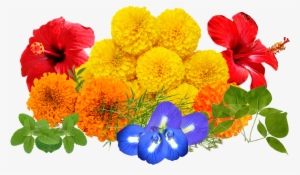 Flowers Design In Real #2625810