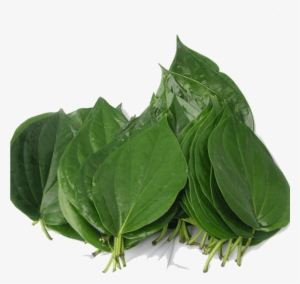 Related Products - Bitter Leaf #2626113