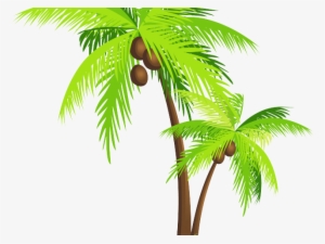 Coconut Cake Free On Dumielauxepices Net Pohon - Coconut Tree Vector Png #2626115