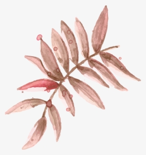 Balancing Regimen Hair Shampoo #2626254