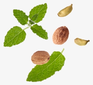 Organic Black Tea Leaves, Organic Cardamom, Organic - Chai Leaves #2626295