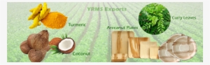 Our Products - Bentonite Clay With Turmeric & Cloves Powder. Indian #2626296