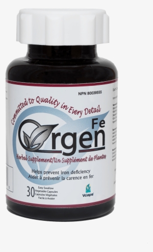 Picture Of Fe - B15 Complete Pangamic Acid 500mg #2626357