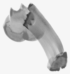 My Penis Poster - Macro Photography #2627669