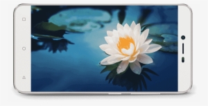 Previous Next - Flores Para Fondo De Pantalla #2627843