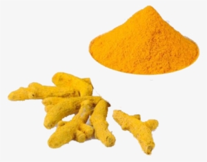 Turmeric #2627867