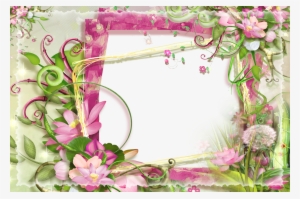 Beautiful Flowers Photos, Flower Photos, Beautiful - Nature Png Photo Frame #2627920