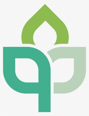 Mnp Flowers - Business #2628188