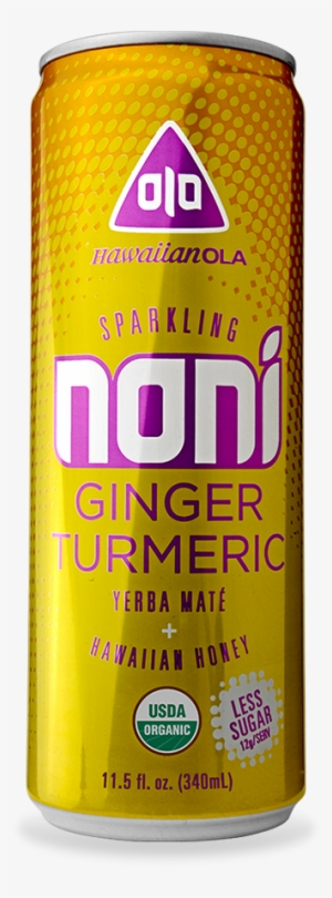 Sparkling Noni Ginger Turmeric 8ct #2628290