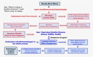 Buddha Dhamma In A Chart Pure Dhamma - Chart Of 24 Paccaya #2629093