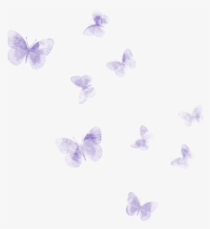 Popular And Trending Schmetterlinge Stickers On Picsart #2629187