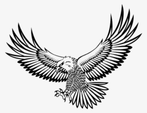 Prev - Eagle Vector #2629258 Prev - Eagle Vector #2629258