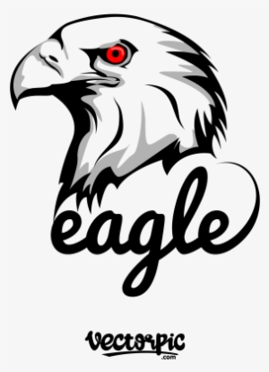 Aztec Tribal American Eagle Boho Top #2629289