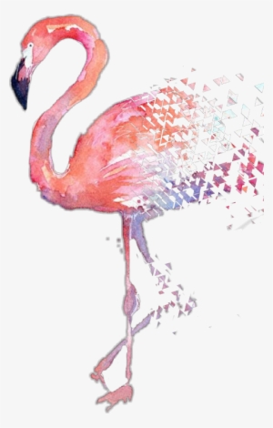 Flamingo Watercolor Painting Hd #2629811