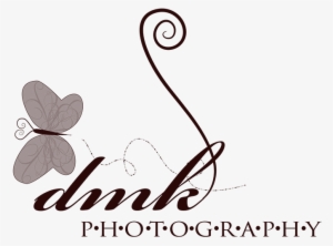 Dmk Photography - Lycaenid #2631069