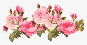 Collection Of Free Rose Vector Vintage - Transparent Background Flower Border #2631306 Collection Of Free Rose Vector Vintage - Transparent Background Flower Border #2631306