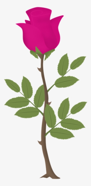 Rosa, Flower, Roses, Pink Vector, Pink Flowers - Zazzle Rose Tree Sweatshirt #2631456