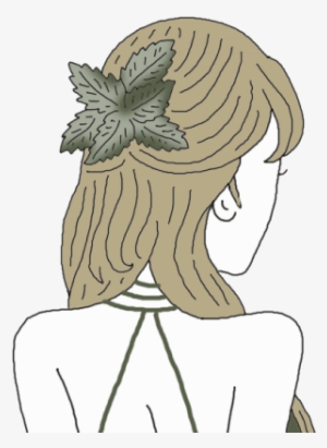 Mint - Mint.com #2631749
