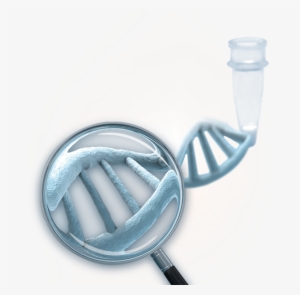 Stat Nat Dna Mix - Nucleic Acid #2631827