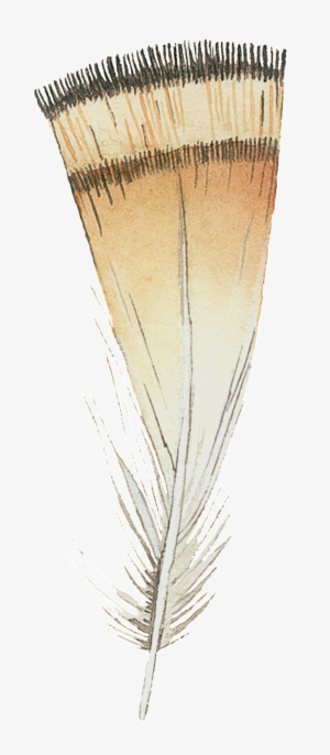 Drawing #2631932