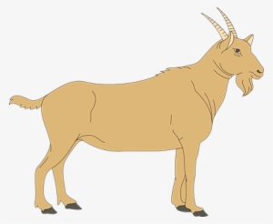 Brown View Barn Farm Goat Side Standing An - Goat Clipart Png #2632287