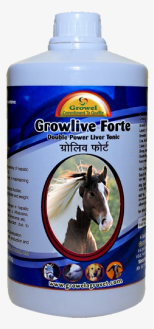 Digestive Supplements For Horse - Dayspring 12' X 12' Wall Calendar Horses, P1, Multicolor #2632688