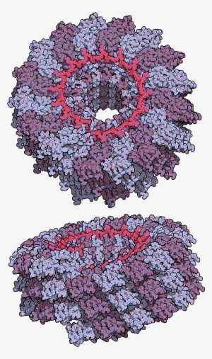 Tobacco Mosaic Virus Tmv2 - Тютюнова Мозаїка #2633786