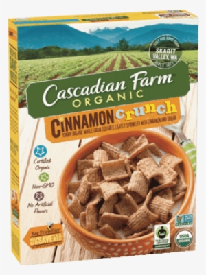 Cascadian Farm™ Organic Cereal - Cascadian Farm Organic Fruitful O's Cereal #2633892