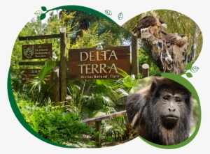 Reservas Naturales En Argentina #2634041