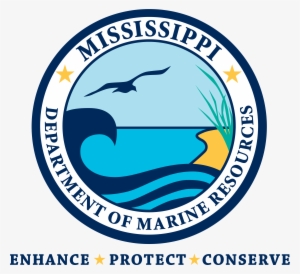 The Golden Fisherman Timeline - Mississippi Department Of Marine Resources #2637821
