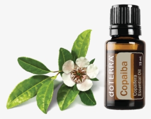 Description - Doterra Copaiba Essential Oil - 15ml Dt-copaiba #2638730