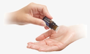 Using Essential Oils #2639139