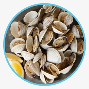 Clam Dish Winner - Wendake, Quebec #2640000