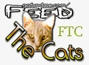 Through Viewers Like You *pbs Voice* - Dingo #2641665