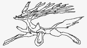 Colors Download Settings - Line Art #2642658