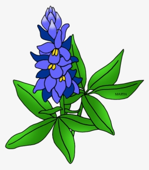 United States Clip Art By Phillip Martin - Texas State Flower Clipart #2643018