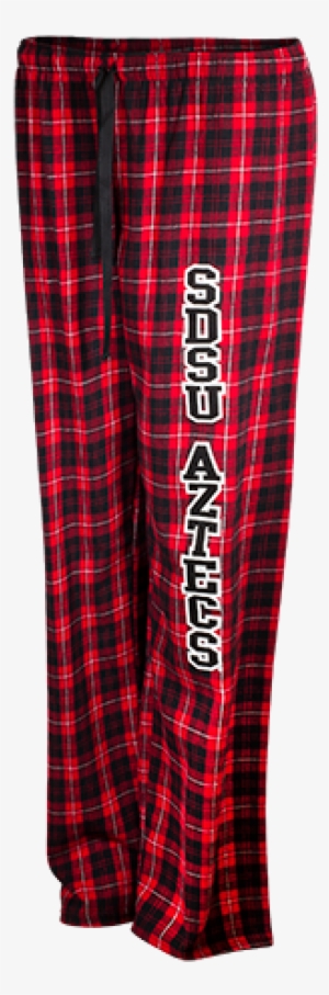 San Diego State University #2643021