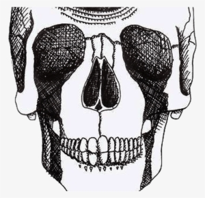 Transparent Quote Blogs Tumblr - Close Your Eyes Open Your Mind #2643976