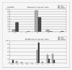 A Activity Of Nor And Brc/brb , Activity Of Nor In - Lyme Disease #2644674