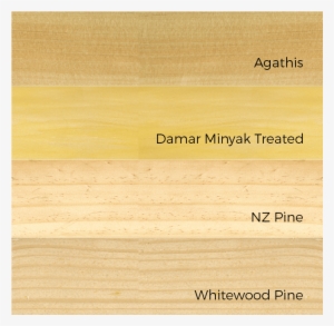 Sauna Door By Sonic Steam And Suana - Sauna #2644771